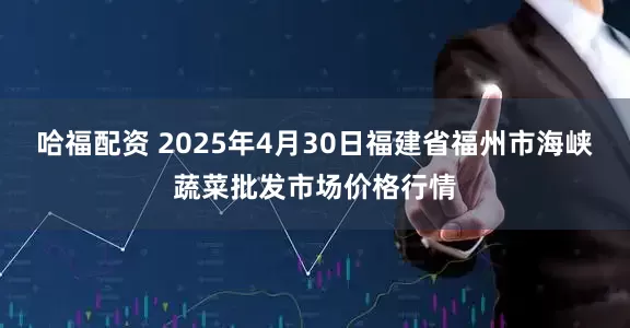 哈福配资 2025年4月30日福建省福州市海峡蔬菜批发市场价格行情